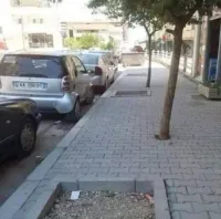 Вечно эти планировщики напортачат!
Гляди, Вася, что они начудили - 
нам квадраты обозначили делать, прямо на местах, где деревья растут, ну, не дураки ли?
Вот всегда нам за них додумывать приходится, чтоб нормально было.
Ну, не рубить же теперь деревья из-за их тупизны, придётся квадраты сместить!