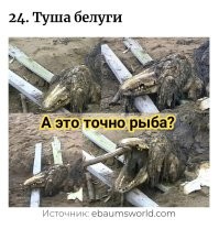 25 жутких снимков, которые вызывают противоречивые чувства