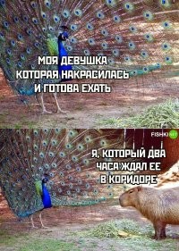 Не хочу Вас расстраивать, но вот это накрашенное - мужик, практически - петух, экзотический