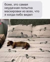 Я не сразу и заметил, думал пустая кровать.