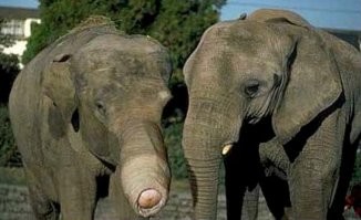 Кучка странных фактов о мире, в котором мы живём