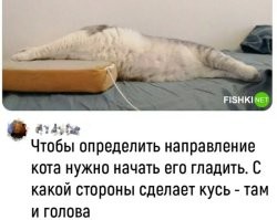 У меня кот делал "муррр". Иногда "пук!"..