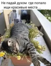 Всем потенциальным суицидникам посвящается...