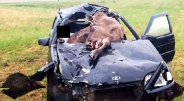 Равносильно столкновению с бетонным блоком