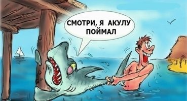 Жители Приморья поймали акулу рядом с туристической базой