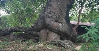 Добавлю немного )