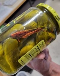 местная текила!