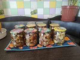 Заготовки овощные закончились- настала грибная пора)))))))))