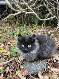 Глазища как были так и остались ))