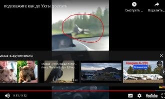 Какой интересный "попутчик" у водителя. 11-я секунда ролика