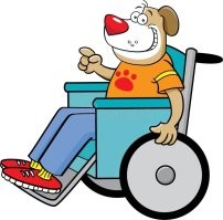 Собака приятеля?