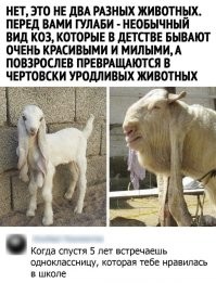 30 фотографий, которые одновременно вызывают и умиление, и тревогу