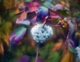 Витебск, 2022