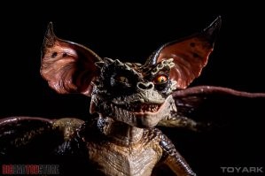 30 фотографий, которые одновременно вызывают и умиление, и тревогу