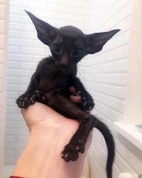 30 фотографий, которые одновременно вызывают и умиление, и тревогу