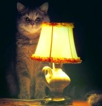 Ситуации с клиентами, после которых хоть стой, хоть падай