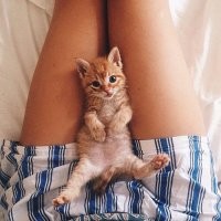 Без кота и жизнь не та: 3 медицинских аргумента в пользу котиков в доме