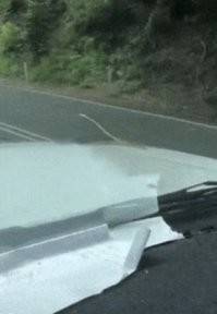 Интересный маскот на капоте.
 Что за марка авто?