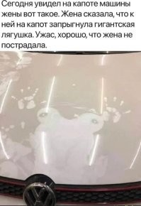 20 представителей флоры и фауны, которые настолько огромны, что в это сложно поверить
