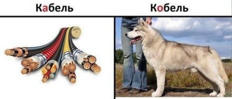 30 любопытных кадров, которыми поделились на просторах сети