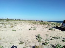 Никогда не понимал такого идиотизма.
Подъехать поближе, чтоб не тащить всё барахло в руках? Да, есть возможность и удобно.
Дёрнуть самых смелых на пузотёрке или отчаянных на моноприводе- тоже без проблем.
Но так исполнять...