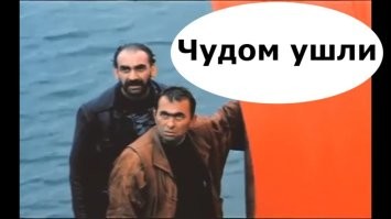 Тигр разогнал мужчин в бассейне
