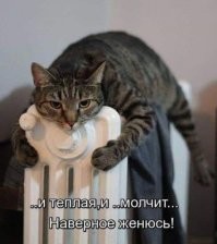 Комментарии и картинки из соцсетей. Свежак за 19 сентября
