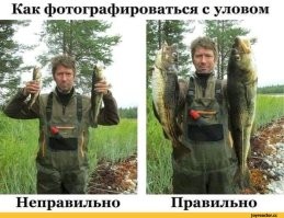 20 представителей флоры и фауны, которые настолько огромны, что в это сложно поверить