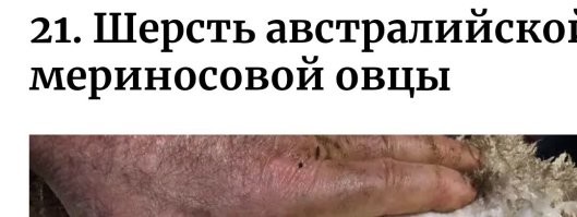Написано же - шерсть. :)