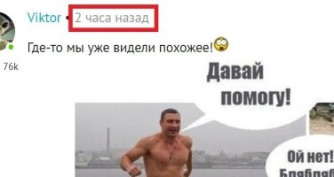 Посетители пляжа спасли крупную акулу