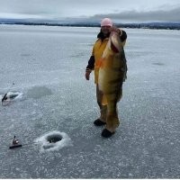 20 представителей флоры и фауны, которые настолько огромны, что в это сложно поверить