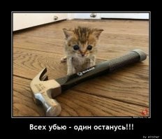 В Башкирии посетители кафе устроили массовую драку