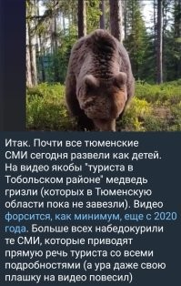 «Один удар бы и был бы конец»: в Тюменской области бурый медведь пришёл в гости к отдыхающему мужику и сильно его напугал