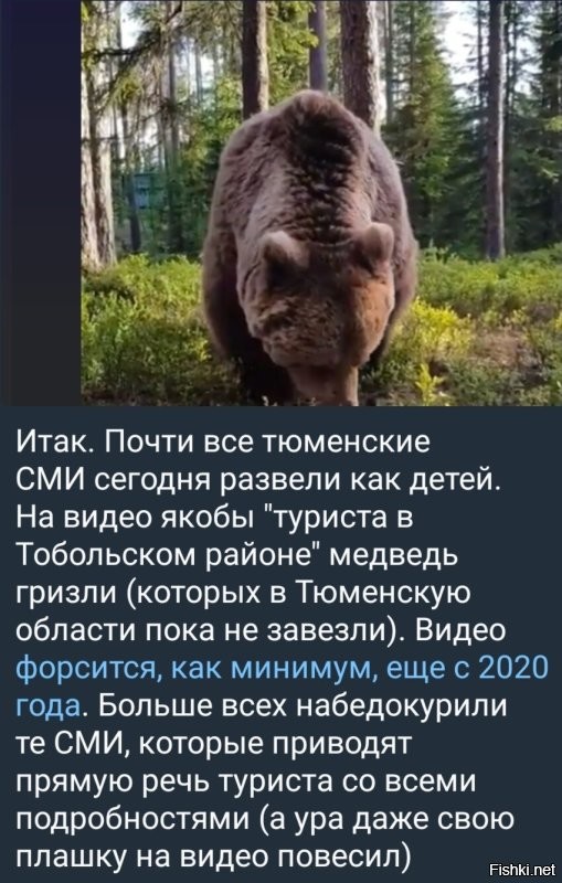 «Один удар бы и был бы конец»: в Тюменской области бурый медведь пришёл в гости к отдыхающему мужику и сильно его напугал