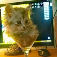Надо было ведро подставлять. Они бы туда сами затекли.