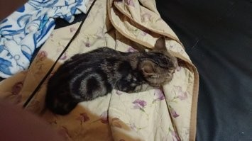 наш каратист..