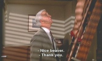 Надо Аэроплан пересмотреть, а Полицейский отряд и Голый пистолет недавно пересматривал. Присцилла была зажигалкой.
- Nice Beaver!
- Thanks.