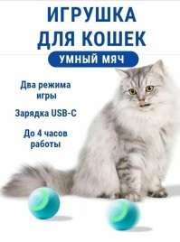 Это красиво, но зачастую абсолютно бесполезно и просто занимает место. Хлам.
1) Комод из цельного массива дерева весит как половина дома. Я предпочту на растяжках тканевый из ИКЕА.
2) Швейная машинка Зингер. Очень красиво. Но если вы и делаете что-то дома по этой теме, то оверлок от Toyota размером 30 на 15 см, что лежит в шкафу, намного практичнее. А еще он шьет кожу!
3) Ударная установка. Допустим постучу. Допустим даже 2 раза. Что дальше?
4) Полки для книг в различных вариантах. Я сыну купил в начальных классах комплект Гарри Поттера, он с радостью прочел. Потом попросил меня еще книг, я ему скинул на читалку в формате FB2. Потом он разбил читалку, но перешел на телефон. Так и остался набор Гарри Поттера - его единственные печатные книги не считая учебников.
5) Наборы игры для котов. Котам не понравилось. Попытаетесь притащить это вашему? (без кота жизнь не мила! я своему купил шарик с хаотичным беганием по полу и издаванием звуков - а он с ним не играет! скучно ему. Отдам друзьям, а вдруг? Но вам его точно не советую).