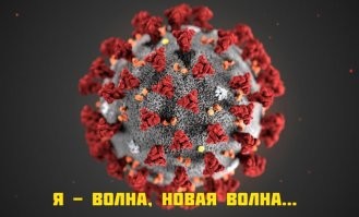 Скрины из соцсетей&nbsp;