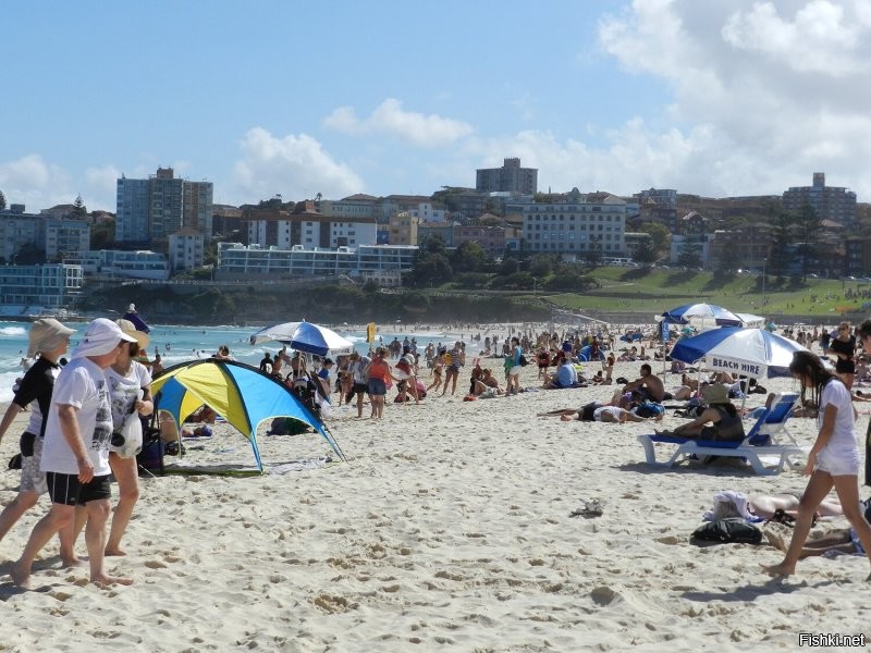 Был на 70 самых популярных пляжах мира, даже Бонди Бич. Нигде таких сеток нет.