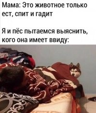 От 10 минут до 13 часов