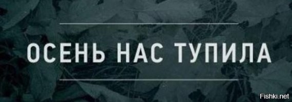 Не ищите здесь смысл. Здесь в основном маразм