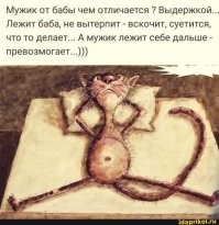 Тигру не дали расслабиться в бассейне