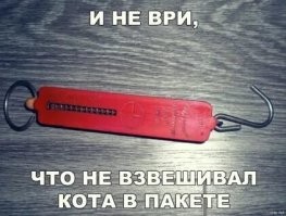 Как взвешивают разных животных