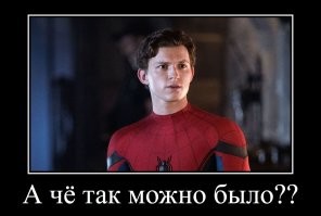 В 6 раз прочнее бронежилета: шелкопряды с генами пауков прядут пуленепробиваемую паутину