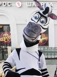 А когда уже эту зебру поймают и в СИЗО отправят?