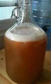 Автор,похоже,из местности,где нет сильных морозов. У нас на урале самой распространенной была брага из мороженной картошки.Картошки у всех было навалом,а процесс - вынес ведро картошки на мороз,потом размял и по банкам. Вид отвратительный,но напиток был весьма популярным среди молодежи.