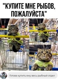 Напомнило: