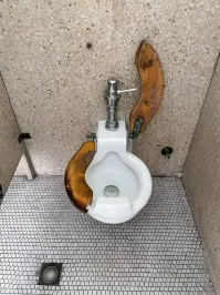 И каким образом этот "голосующий ЗА" горшок поможет болезным?