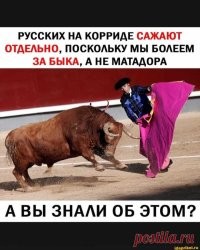 На фестивале в Испании бык насмерть забодал мужчину